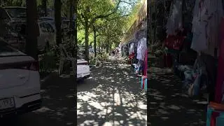 Территория возле Центрального парка прямо сейчас! 🌷18.08.24 