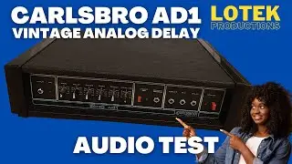 Carslbro AD1 - Vintage Analog Delay - Audio Test (Reticon SAD 4096 Bucket Brigade Device)