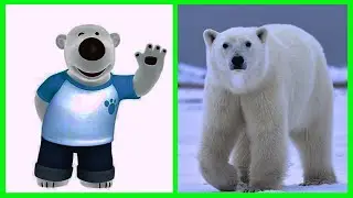 Pororo Characters in Real Life
