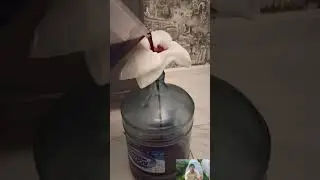 Вино из черноплодной рябины. 2 часть.