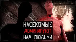 НАСЕКОМЫЕ СТАЛИ ДОМИНИРОВАТЬ НА ЛЮДЬМИ | Carcass