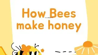 How Bees Make Honey