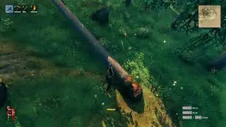 maybe a series? Valheim.