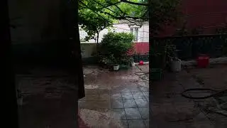Летний дощь "2024