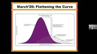 Moshe Vardi - Lessons from COVID-19: Efficiency vs Resilience