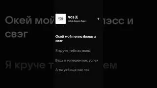 Lida & Серега пират - ЧСВ (Текст песни) 