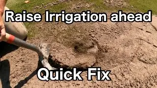 How To Raise a Sunken Irrigation Head Quick Fix