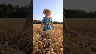вечерняя прогулка