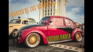 Los 500 Clásicos de Volkswagen | El paraíso de los vochos | Fotografía de autos | VOCHOS