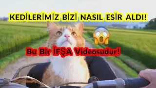 Kedilerimiz Bizi Nasıl Esir Aldı! -  Bu Bir İfşa Videosudur :) (4K)