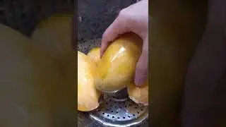 Mangoes Fruit Washing Asmr 🥭 #shorts #ytshort #youtubeshorts #yt #asmr #mango #fruit #food