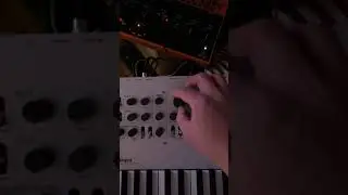 Toying around with Korg Minilogue and Behringer Crave