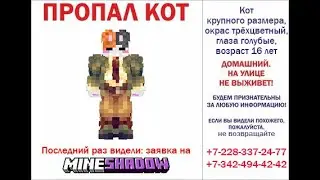 Моя заявка на MineShadow (как оригинально)