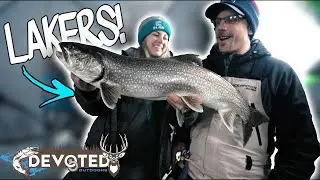 New Spot LAKERS | SHALLOW