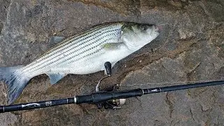 Striper Fishing in Nasty Weather