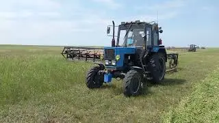 Первые валки, косим 9 м жатками сено. Сенокос 2025.