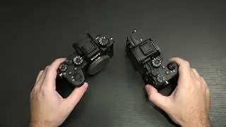 Sony a9 II vs a7R IV
