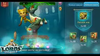 6 Стадия 
