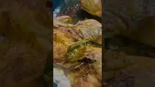 Baked Chicken with Lemon Grass