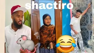 qosalka aduunka || waa sheeko kale sidaa loo dilaye jiir laga dhigay 🐀🐀😂😂@Shactirosomalifans