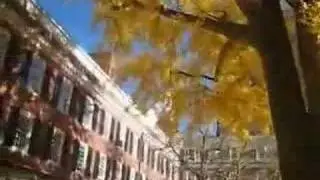 Frisbee in Timothy Dwight College