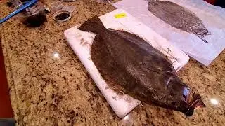 Japanese Gyotaku of Flounder