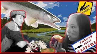 Карантин не останавливает жизнь. Часть5.