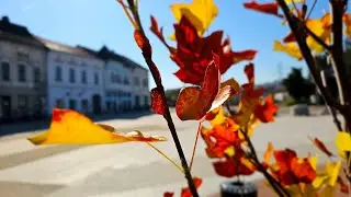 Toamnă în culori, o plimbare în Hunedoara