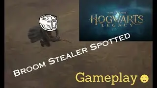 Hogwarts Legacy 2023: Broom Free Roam