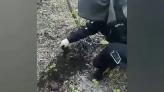 Коп по металлу