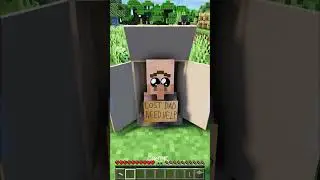 Helping a Baby Villager