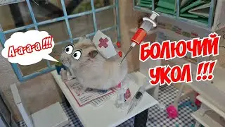 КАТЯ и МАКС заболели 😩Сериал про хомячков🐹