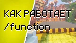 function | От овоща к датапакеру
