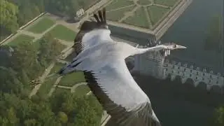 КОРОЛЕВА