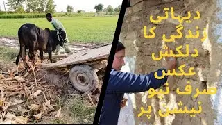 Villages And its Real Life Scenes