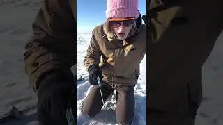 ЖУТКАЯ НАХОДКА ВО ЛЬДУ