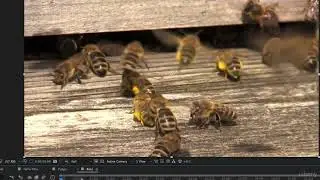 Important After Effects Skills: Freeze Frames, Remapping, Reversing Time