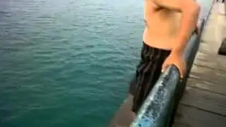 bokep Gay