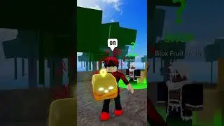 BROOKHAVEN PLAYER joins Blox Fruits and THIS happened! 