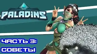 Paladins. Часть 3: Советы Новичкам