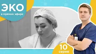 ЭКО в прямом эфире - 10 серия - Беременность не наступила..