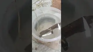 CLEANING RUSTY METAL BY ELECTROLYSIS