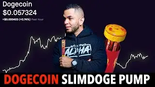 DogeCoin Live Stream // Slim Doge!
