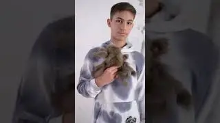 Паук из соболя с подвижными лапами идеальный подарок ребенку от Holich