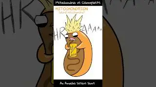 Mitochondria vs Chloroplasts - Amoeba Sisters 