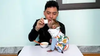 Monkey KaKa is very obedient to pick up trash and put it in the bin