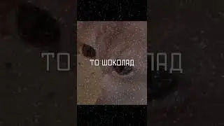 Тоха херачит уже дрова 