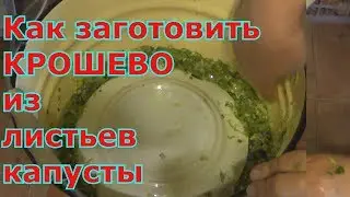 КРОШЕВО. Квашенье СЕРОЙ КАПУСТЫ. Зеленые ЩИ.
