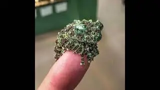 Top Trending Videos of the Internet Today