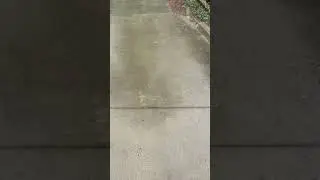 Concrete Pressure Washing Results - 26